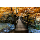 fotomural-puente