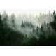 Fotomural bosque para pared