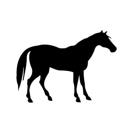 Vinilo caballo a medida