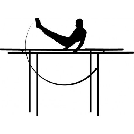 vinilo Barras Gimnasia