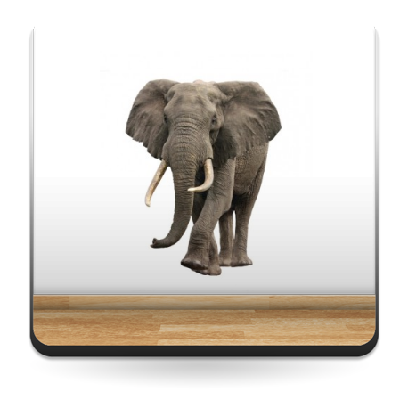 vinilos imagen producto Elefante Escaparate