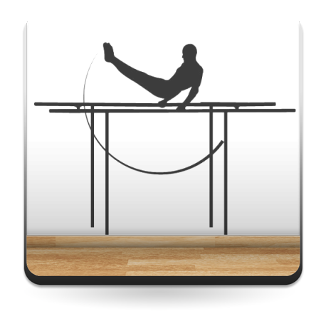 vinilo Barras Gimnasia