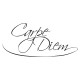 Carpe Diem-vinilos baratos producto vinilos
