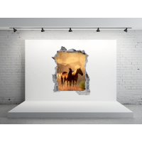 Boquete en pared vista a caballos
